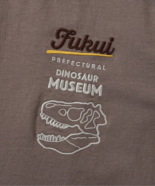 BREEZE(ブリーズ)の「【リンク】福井県立恐竜博物館コラボ FPDM半袖T(大人)(Tシャツ/カットソー・メンズ・オフホワイト/ブラウン・SMALL/MEDIUM/LARGE)」の3枚目の写真