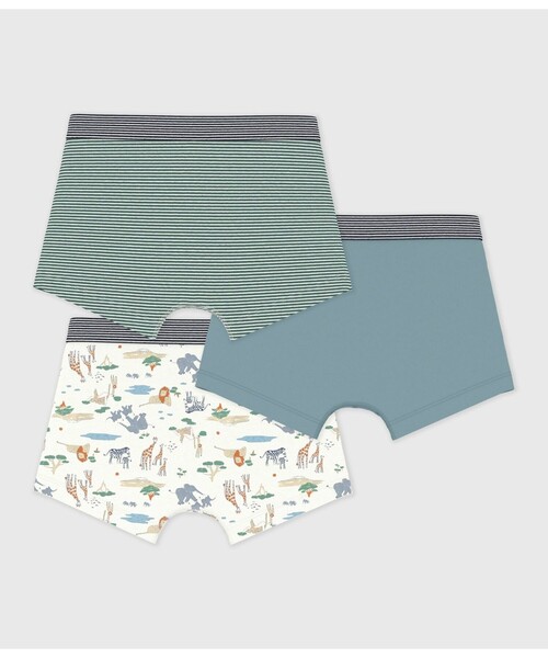 セール】プリントトランクス3枚組（トランクス）｜PETIT BATEAU