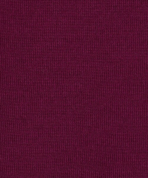 BALLSEY（ボールジィ）の「スーパーエクストラファインウール クルーネックカーディガン（カーディガン/ボレロ・レディース・ライトグリーン/ダークグレー/ボルドー/ネイビー/ベージュ/ホワイト・M/S）」の20枚目の写真