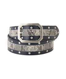 EVRIS | PYTHON×STUDSベルト(ベルト)