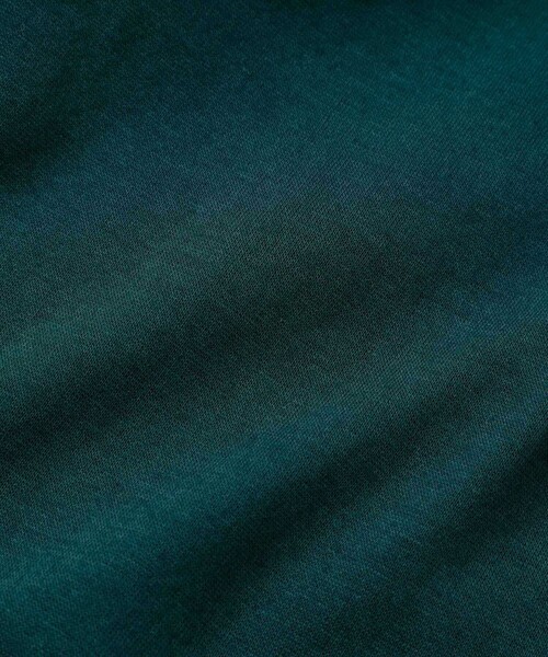 LOVELESS（ラブレス）の「カットコンビジャンプスーツ（つなぎ/オールインワン・レディース・ブラック/グリーン系その他3/グリーン系その他7・36）」の18枚目の写真