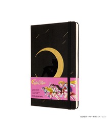 美少女戦士セーラームーン（ビショウジョセンシセーラームーン）の