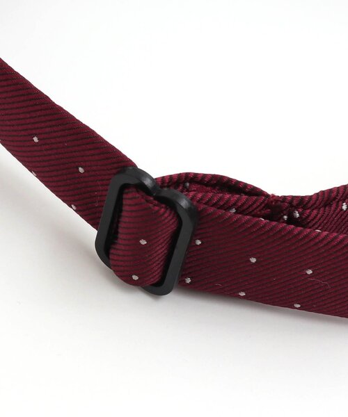 apres les cours（アプレレクール）の「■蝶ネクタイ（蝶ネクタイ・キッズ・グレー/レッド/グリーン・FREE）」の10枚目の写真