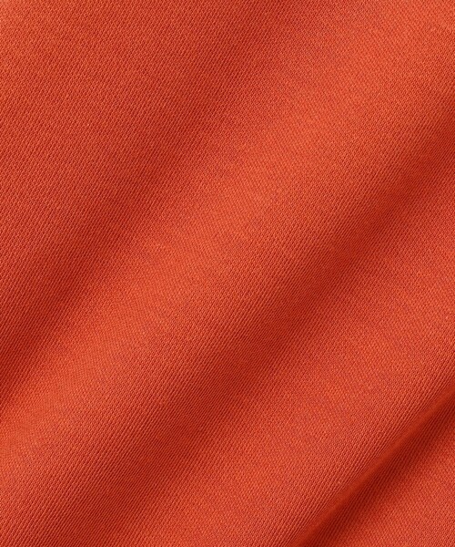 J.PRESS(ジェイプレス)の「【WEB限定カラーあり・洗える】コンパクトコットンスムース ポロワンピース(ワンピース・レディース・グレー系/ネイビー系/オレンジ系/ブラック系・T13/T15)」の5枚目の写真
