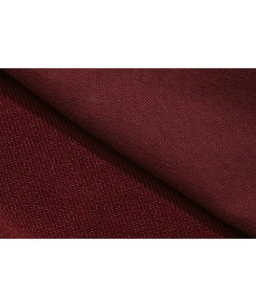 URBANSTOFF(アーバンストッフ)の「ワンスクリプトフードパーカー(バーガンディ)(パーカー・レディース・その他・MEDIUM/LARGE)」の7枚目の写真