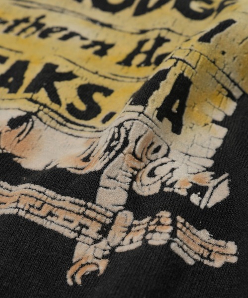 BOW WOW(バウワウ)の「SALISH LODGE TEE AGED(Tシャツ/カットソー・メンズ・ブラック・L/XL)」の5枚目の写真