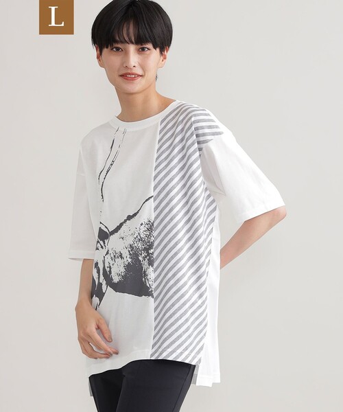 Krizia エヴェックスバイクリツィア のファッション Evex セール By L アラビアンオリックスｔシャツ Tシャツ カットソー Evex By トップス ウォッシャブル