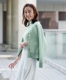 Vﾈｯｸｶｰﾃﾞｨｶﾞﾝ