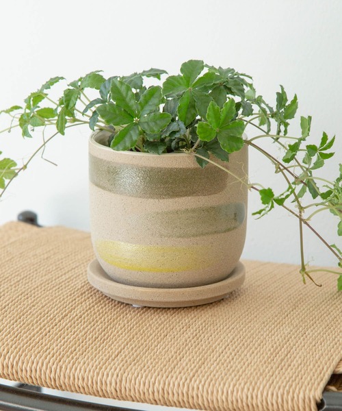 URBAN RESEARCH DOORS(アーバンリサーチドアーズ)の「FARM デシレ 11G(その他雑貨・レディース・グリーン系その他・-)」の2枚目の写真