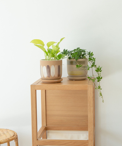 URBAN RESEARCH DOORS(アーバンリサーチドアーズ)の「FARM デシレ 11G(その他雑貨・レディース・グリーン系その他・-)」の4枚目の写真