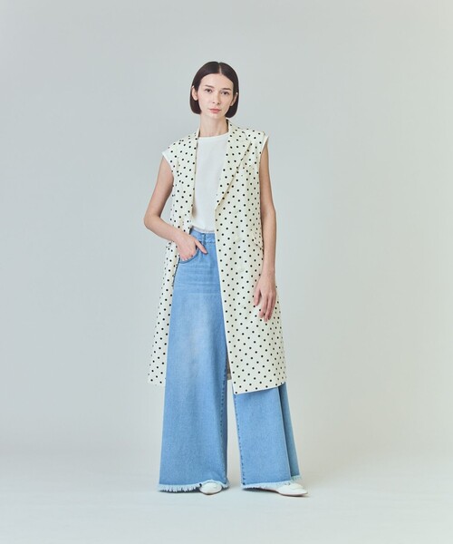 GRACE CLASS(グレースクラス)の「ドットジレドレス(ワンピース・レディース・ピンク/ブラック/キナリ・38/36)」の17枚目の写真