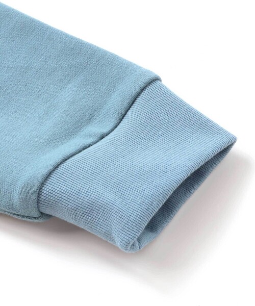 BeBe Petits Pois Vert(ベベプチポワヴェール)の「【店舗限定】インレイ発泡プリントクワガタムシ長袖Tシャツ(Tシャツ/カットソー・キッズ・ブルー/グレー・100cm/110cm/120cm/140cm/150cm/130cm)」の14枚目の写真