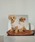common gull products.�i�R�����K���v���_�N�c�j�́u�ق��ĐF��common gull products. dog kint�i�y�b�g�E�F�A�j�v�b�s���N�n