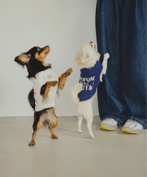 common gull products.(コモンガルプロダクツ)の「ほたて色のcommon gull products. dog kint(ペットウェア・レディース・ネイビー/ピンク系/ホワイト系・SMALL/MEDIUM/LARGE)」の5枚目の写真