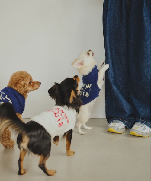 common gull products.(コモンガルプロダクツ)の「ほたて色のcommon gull products. dog kint(ペットウェア・レディース・ネイビー/ピンク系/ホワイト系・SMALL/MEDIUM/LARGE)」の6枚目の写真