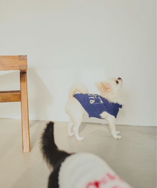 common gull products.(コモンガルプロダクツ)の「ほたて色のcommon gull products. dog kint(ペットウェア・レディース・ネイビー/ピンク系/ホワイト系・SMALL/MEDIUM/LARGE)」の11枚目の写真
