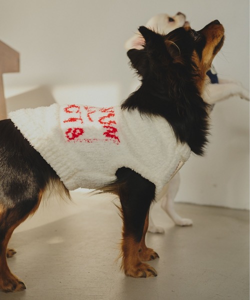 common gull products.(コモンガルプロダクツ)の「ほたて色のcommon gull products. dog kint(ペットウェア・レディース・ネイビー/ピンク系/ホワイト系・SMALL/MEDIUM/LARGE)」の13枚目の写真
