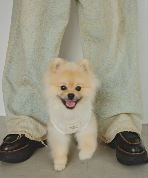 common gull products.(コモンガルプロダクツ)の「ほたて色のcommon gull products. dog kint(ペットウェア・レディース・ネイビー/ピンク系/ホワイト系・SMALL/MEDIUM/LARGE)」の17枚目の写真