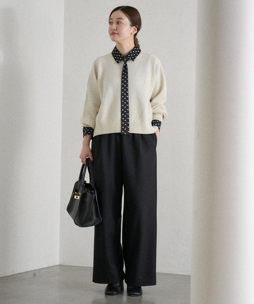 WEB限定/追加3》サテンドットタイ付ブラウス（シャツ/ブラウス）｜IENA