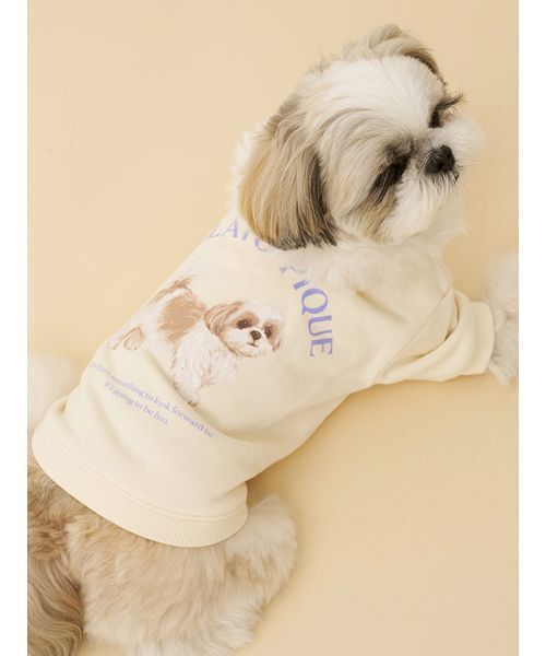 フリル襟チェリーニットトップス / 犬服 / ドッグウェア（ペットウェア