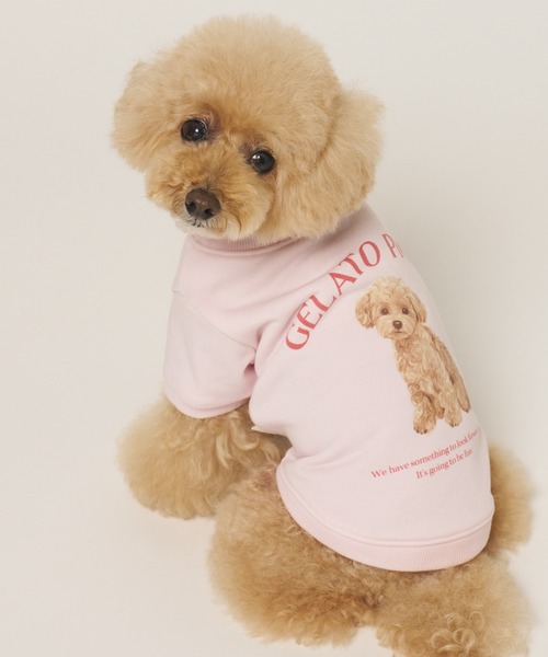 gelato pique(ジェラートピケ)の「【CAT&DOG】お散歩ドッグ裏毛プルオーバー(ペットウェア・レディース・ピンク/グレー/クリーム・S/M/L/XL)」の4枚目の写真