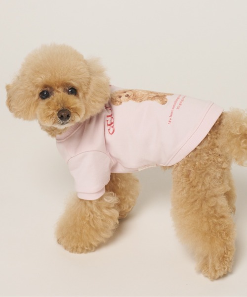 gelato pique(ジェラートピケ)の「【CAT&DOG】お散歩ドッグ裏毛プルオーバー(ペットウェア・レディース・ピンク/グレー/クリーム・S/M/L/XL)」の5枚目の写真