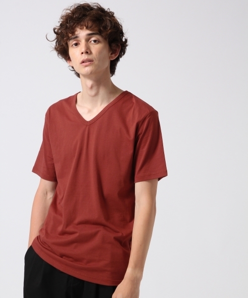 HARE（ハレ）の「【吸水速乾&抗菌防臭】ベーシックVネックカットソー(HARE)（Tシャツ/カットソー・メンズ・ブラウン/ボルドー/オフホワイト/ブラック・MEDIUM/SMALL/LARGE）」の4枚目の写真