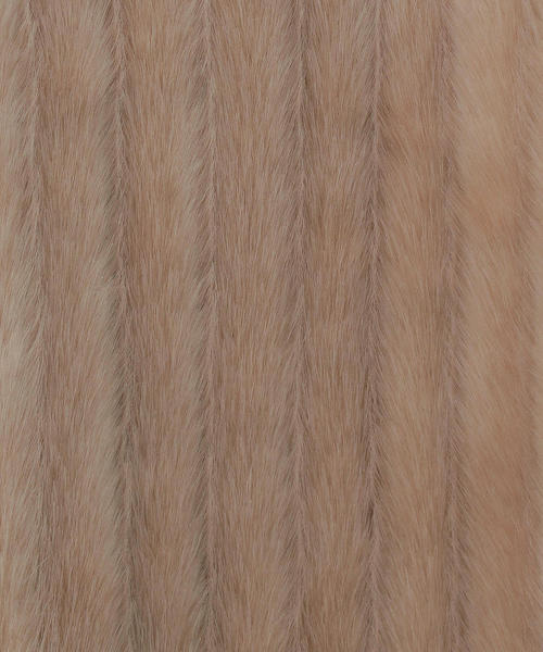 6（ロク）の「＜6(ROKU)＞FAKE FUR VEST/ベスト（ベスト・レディース・ベージュ/ブラウン・38/36）」の4枚目の写真