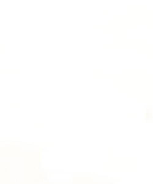 PEANUTS（ピーナッツ）の「【PEANUTS/ピーナッツ】SNOOPY/スヌーピー＆チャーリーブラウンフロッキープリント半袖Tシャツ（Tシャツ/カットソー・レディース・グリーン/杢グレー/ブルー/ターコイズブルー/グレー/ブラック/オレンジ/オリーブ/オフホワイト/ベージュ/ラベンダー/ネイビー・L/LL/3L/M）」の10枚目の写真