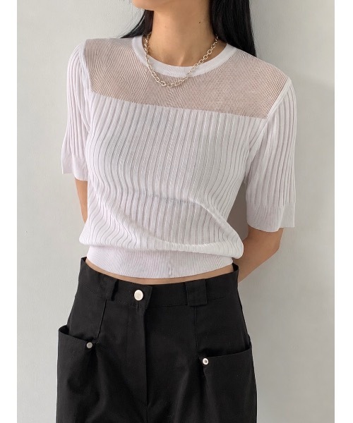 Didot.showroom(ディドット ショールーム)の「シアーストライプクロップニットT(Tシャツ/カットソー・レディース・ブラウン/ブラック/ホワイト/ブルー・FREE)」の1枚目の写真