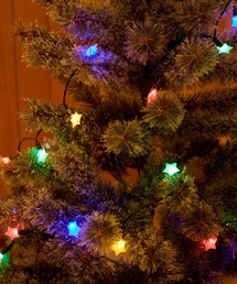 niko and...(jRAh)́y2024XmaszLEDNAX^[K[h(CeAG)