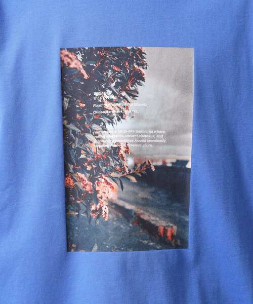 THE SHOP TK (ザ ショップ ティーケー )の「【旅するTシャツ】フォトプリント 洗濯機OK/サスティナブル(Tシャツ/カットソー・メンズ・ベビーピンク/ホワイト系8/ブラック/ホワイト系9/ライトグレー/ブルー系その他/ベージュ/オフホワイト/サックスブルー/ブラウン系その他・02/03/04)」の14枚目の写真