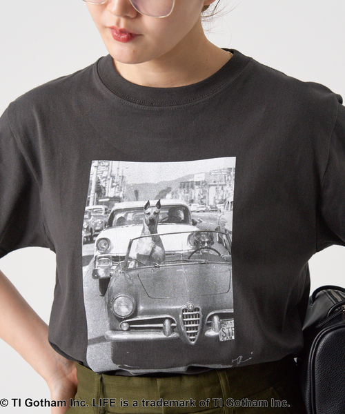 LIFE PICTURE COLLECTION PHOTO Tシャツ（Tシャツ/カットソー