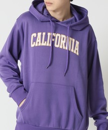 ARCADE | 裏起毛 アメカジ カレッジロゴ ミリタリー 柄込み スウェット プルオーバーパーカー(パーカー)