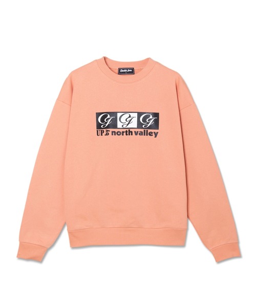 Chocolate Jesus (チョコレートジーザス )の「U.P. CREWNECK(スウェット・メンズ・コーラルピンク/ブラウン/ブラック/アッシュ・X-LARGE/LARGE/MEDIUM/SMALL/XX-LARGE)」の4枚目の写真