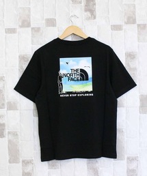 TNF ヘビーウエイト シティ トラバース バックプリントTシャツ M HEAVYWEIGHT CITY TRAVERSE RELAXED SS TEE GRAPHIC-AP