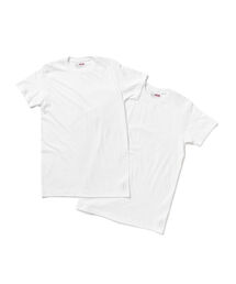 Healthknit | Healthknit / USA製 2PACK Tee(Tシャツ/カットソー)