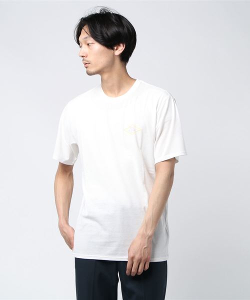 DAKINE(ダカイン)の「DAKINE APPLE Tシャツ(Tシャツ/カットソー・メンズ・ホワイト/ミント・M/L)」の5枚目の写真