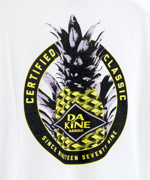 DAKINE(ダカイン)の「DAKINE APPLE Tシャツ(Tシャツ/カットソー・メンズ・ホワイト/ミント・M/L)」の10枚目の写真