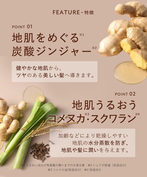 BOTANIST ROOTH　シャンプートリートメント詰め替えセットx３　　計6 Amazon | [旧モデル] BOTANIST ボタニスト ROOTH ルース