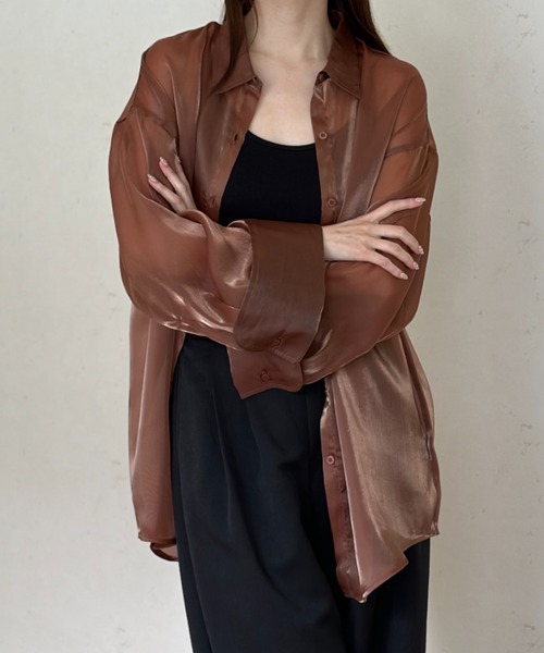 Per sist ence（パーシエンス）の「ラメオーガンジービッグカフスシアーシャツ（シャツ/ブラウス・レディース・グレー/ブラック/ブラウン・FREE）」の9枚目の写真