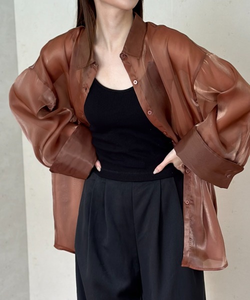 Per sist ence（パーシエンス）の「ラメオーガンジービッグカフスシアーシャツ（シャツ/ブラウス・レディース・グレー/ブラック/ブラウン・FREE）」の14枚目の写真