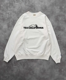 The Endless Summer | TES SAME OLD CN SWEAT / クルーネックスウェット(スウェット)