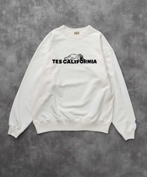 TES SAME OLD CN SWEAT / クルーネックスウェット（スウェット）｜The