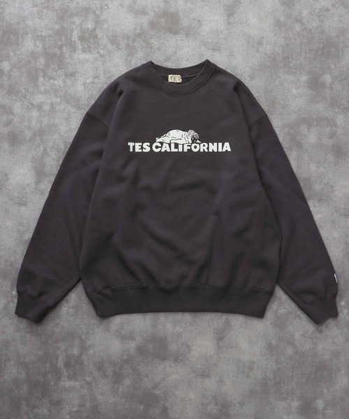 The Endless Summer（エンドレスサマー）の「TES SAME OLD CN SWEAT / クルーネックスウェット（スウェット・メンズ・ホワイト/チャコール/ネイビー/ブラック/グレー・SMALL/MEDIUM/LARGE/X-LARGE）」の4枚目の写真