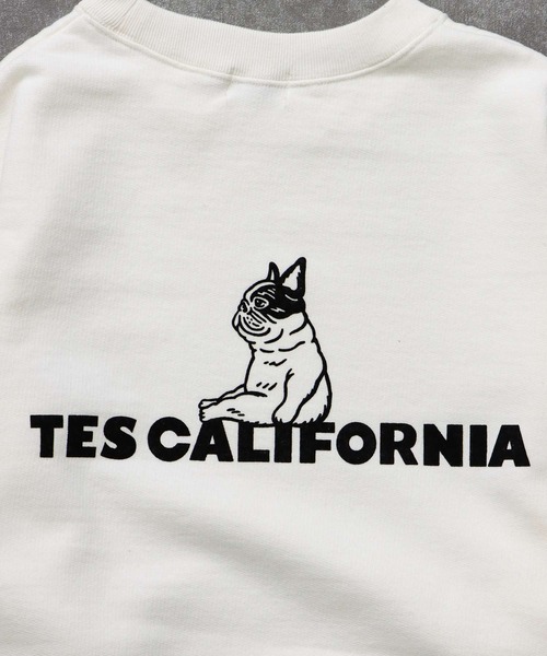 The Endless Summer（エンドレスサマー）の「TES SAME OLD CN SWEAT / クルーネックスウェット（スウェット・メンズ・ホワイト/チャコール/ネイビー/ブラック/グレー・SMALL/MEDIUM/LARGE/X-LARGE）」の11枚目の写真