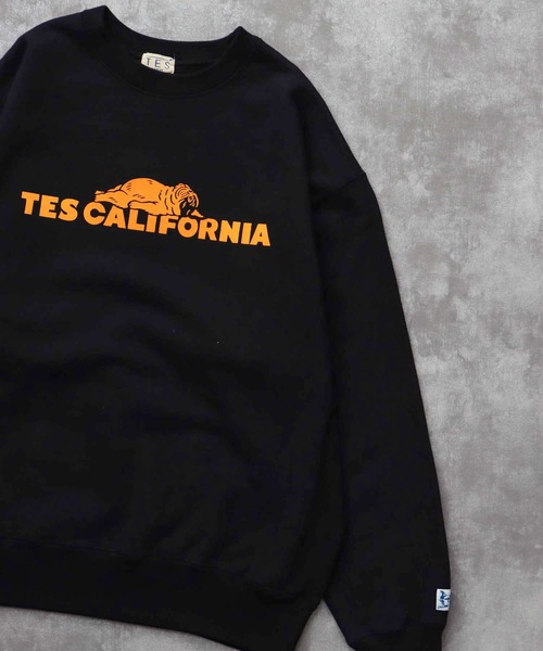 The Endless Summer（エンドレスサマー）の「TES SAME OLD CN SWEAT / クルーネックスウェット（スウェット・メンズ・ホワイト/チャコール/ネイビー/ブラック/グレー・SMALL/MEDIUM/LARGE/X-LARGE）」の12枚目の写真