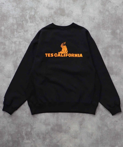 The Endless Summer（エンドレスサマー）の「TES SAME OLD CN SWEAT / クルーネックスウェット（スウェット・メンズ・ホワイト/チャコール/ネイビー/ブラック/グレー・SMALL/MEDIUM/LARGE/X-LARGE）」の14枚目の写真