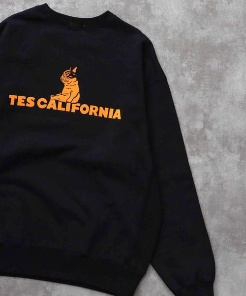 The Endless Summer（エンドレスサマー）の「TES SAME OLD CN SWEAT / クルーネックスウェット（スウェット・メンズ・ホワイト/チャコール/ネイビー/ブラック/グレー・SMALL/MEDIUM/LARGE/X-LARGE）」の15枚目の写真