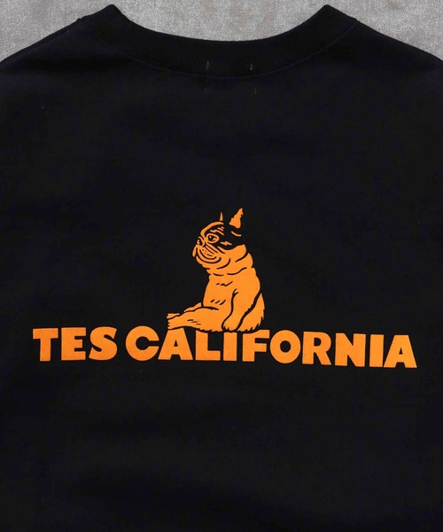 The Endless Summer（エンドレスサマー）の「TES SAME OLD CN SWEAT / クルーネックスウェット（スウェット・メンズ・ホワイト/チャコール/ネイビー/ブラック/グレー・SMALL/MEDIUM/LARGE/X-LARGE）」の16枚目の写真